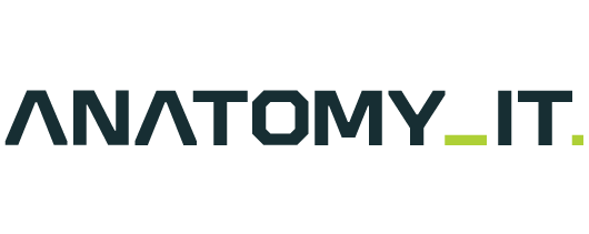 Anatomy IT, LLC